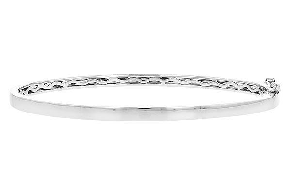 A318-36107: BANGLE (H234-68861 W/ CHANNEL FILLED IN & NO DIA)