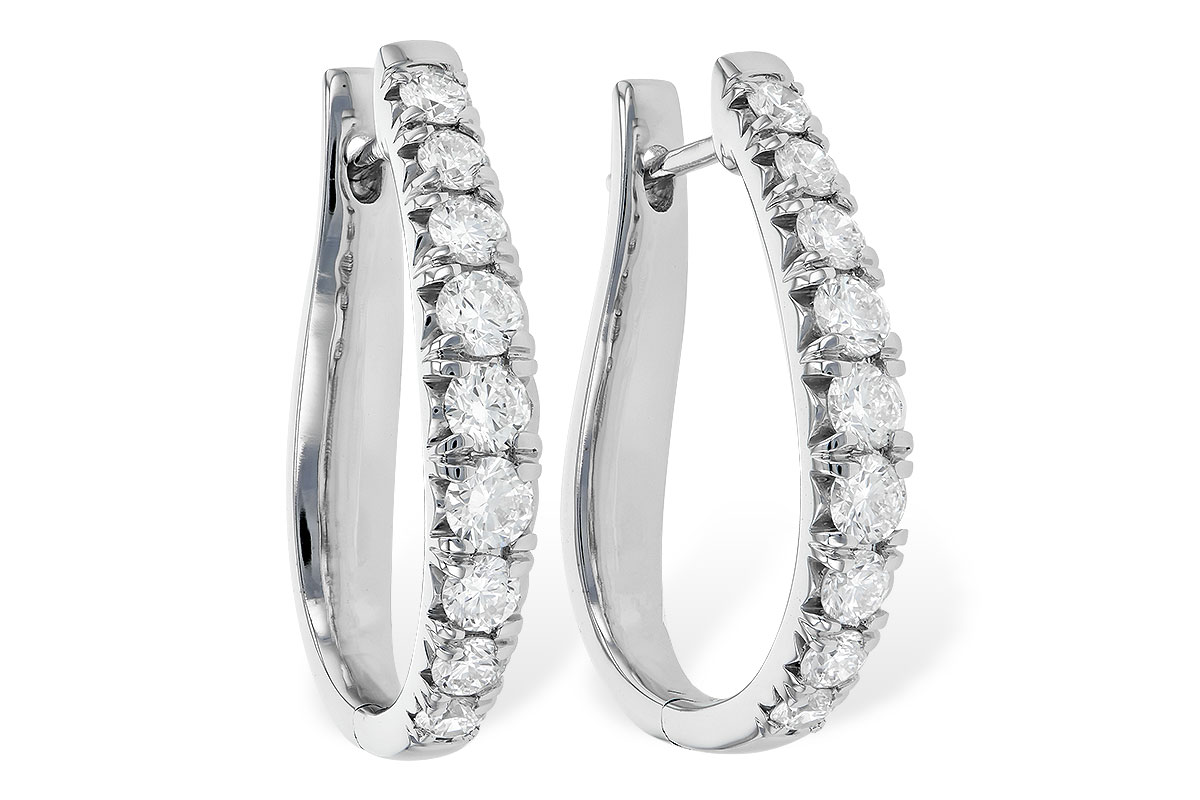 B235-59779: EARR 2.00 TW