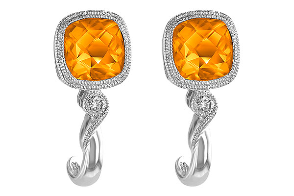 D229-26179: EARR 1.62 CITRINE 1.66 TGW