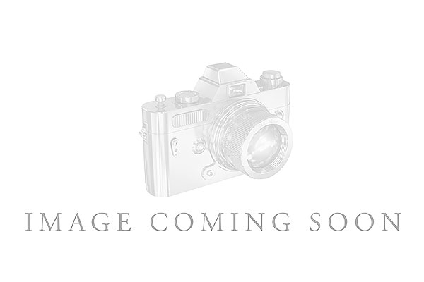 D231-97916: LDS WED RG