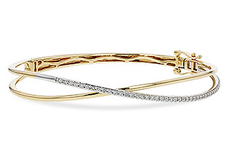 E320-12479: BANGLE .50 TW