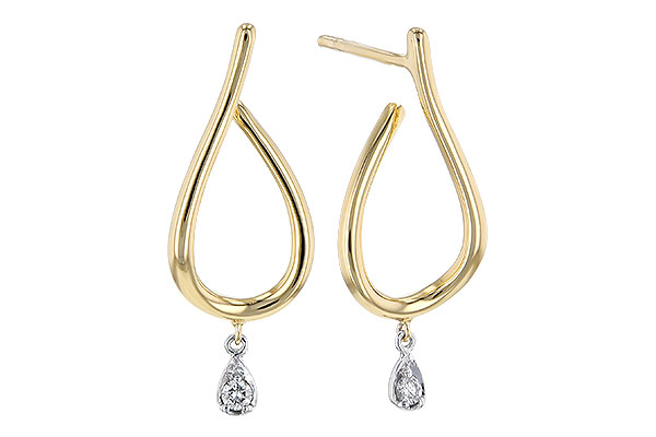 F318-34315: EARR .05 BR